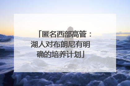 匿名西部高管：湖人对布朗尼有明确的培养计划